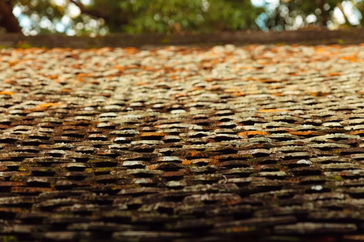 Aging shingle roof with moss growth and granule loss in Pocatello, ID